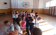 20180928_151702.jpg